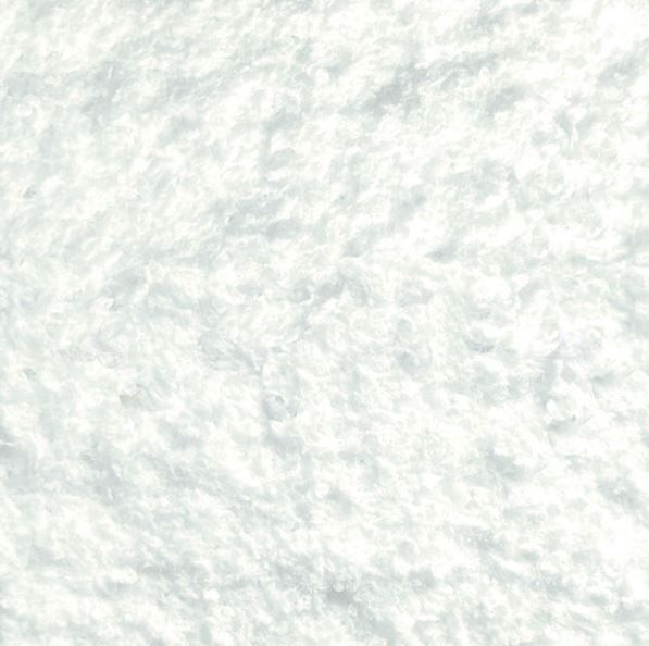 Arctic White