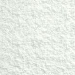 Arctic White