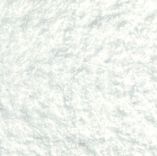 Arctic White